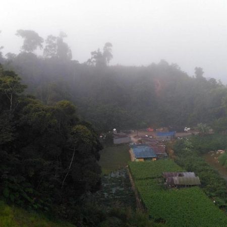 The Pines Hotel Kampung Kuala Terla Eksteriør billede