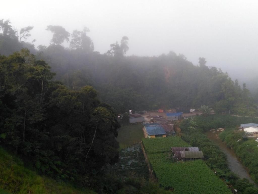 The Pines Hotel Kampung Kuala Terla Eksteriør billede
