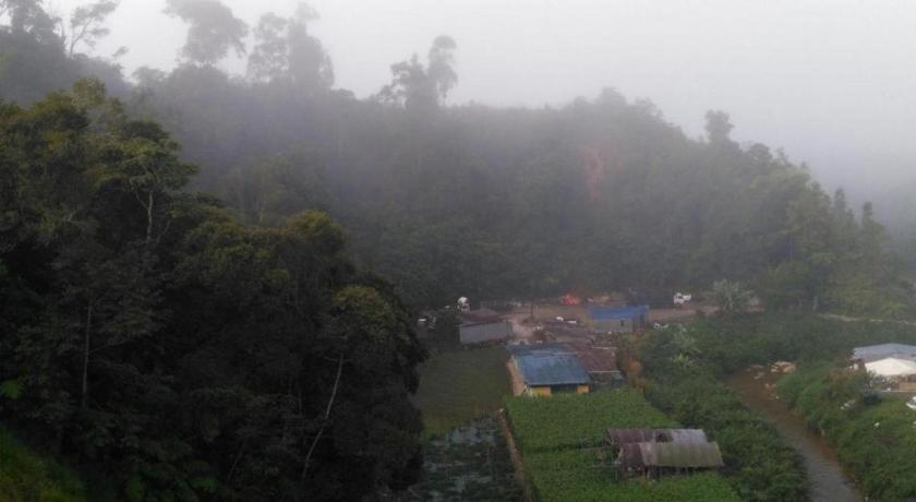 The Pines Hotel Kampung Kuala Terla Eksteriør billede